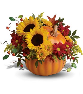 Pretty Pumpkin Bouquet